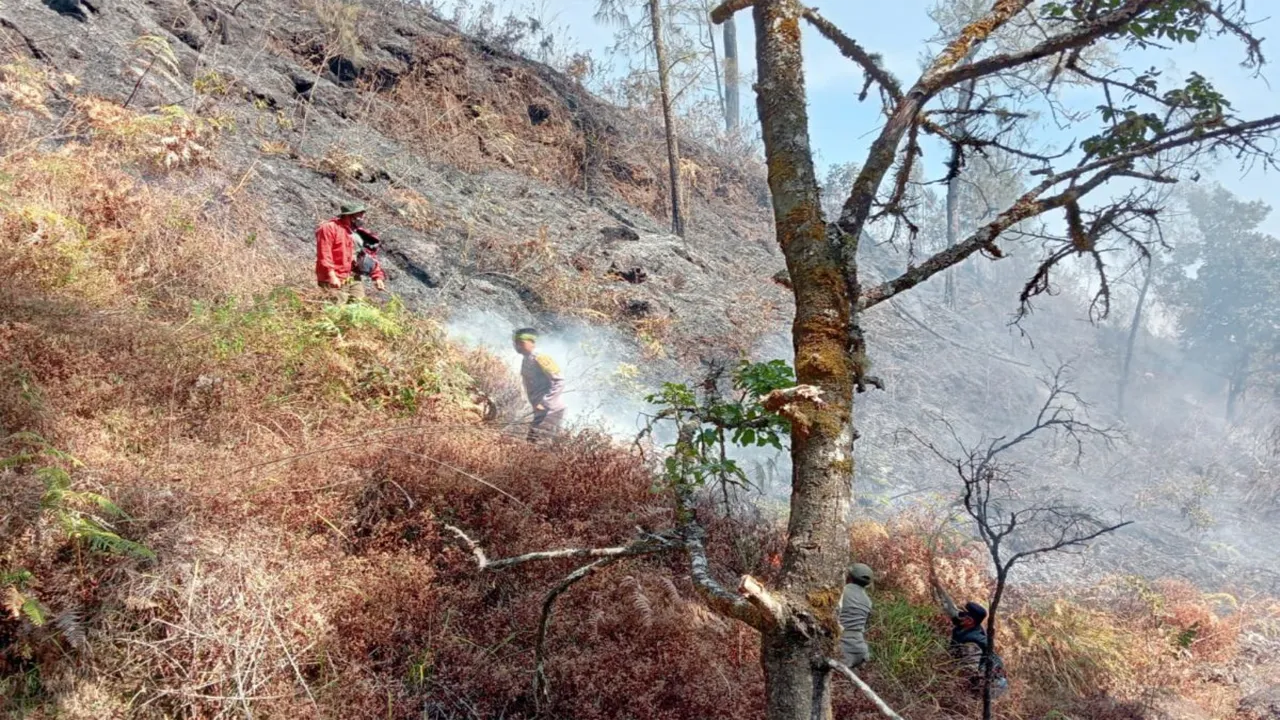 Respons Terhadap Kebakaran Lahan di Gunung Rinjani Nusa Tenggara Barat